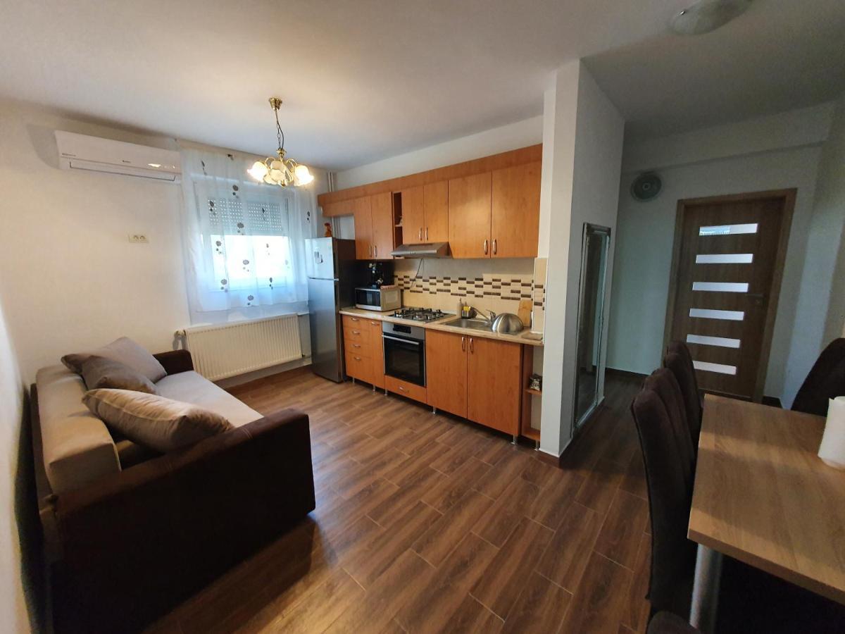 Apartament Andrei Băile Felix Εξωτερικό φωτογραφία
