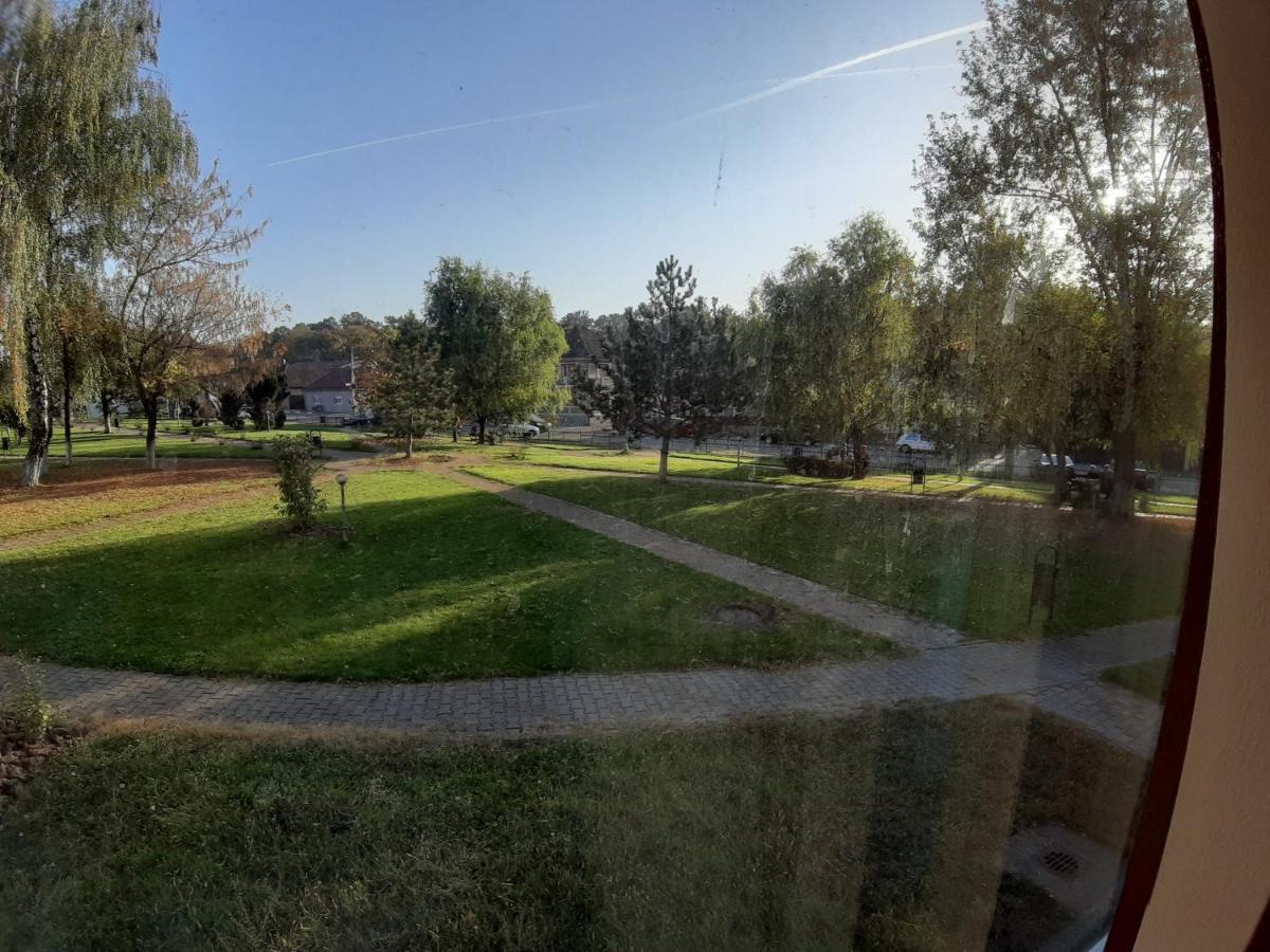 Apartament Andrei Băile Felix Εξωτερικό φωτογραφία